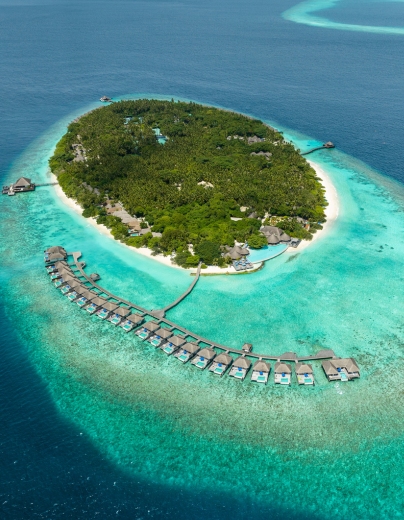 Thai Tiew Thai 75th | Discover Maldives at Dusit Thani Maldives