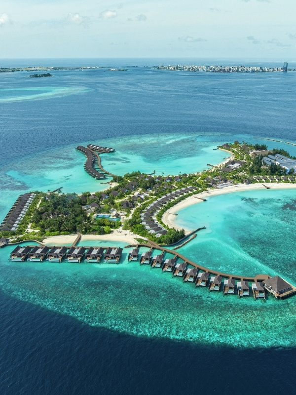 Thai Tiew Thai 75th | Limitless Maldives at dusitD2 Feydhoo Maldives (New)
